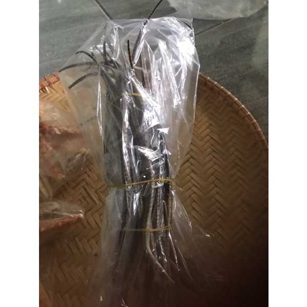 Combo 10 con cá hải xà