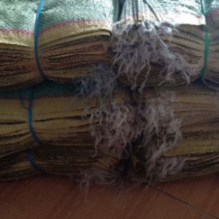 Combo 100 bao PP đựng gạo  5kg