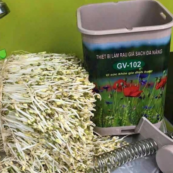 Thiết bị giá đỗ, rau mầm
