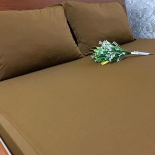 BỘ DRAP THUN SIÊU LẠNH BẢN CAO CẤP GIÁ HẤP