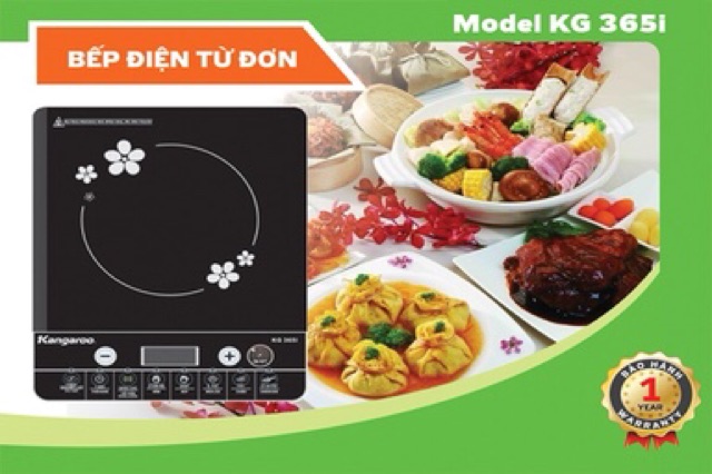 Bếp điện từ đơn KG365i