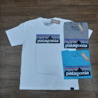 Áo Thun Logo Patagonia