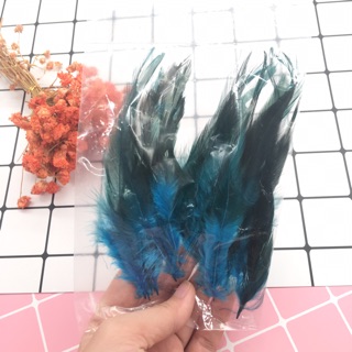 Lông làm dreamcatcher/ khuyên tai (18-20c)