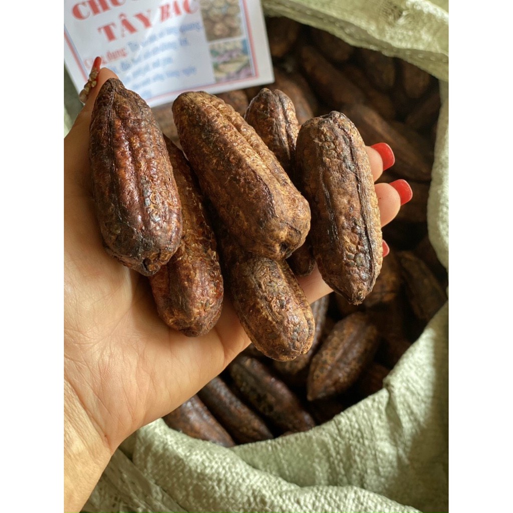 1Kg Chuối Hột Rừng Nguyên Quả [Khô] - Rẻ, Chất Lượng