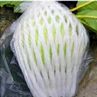 500g túi mút xốp bọc ổi