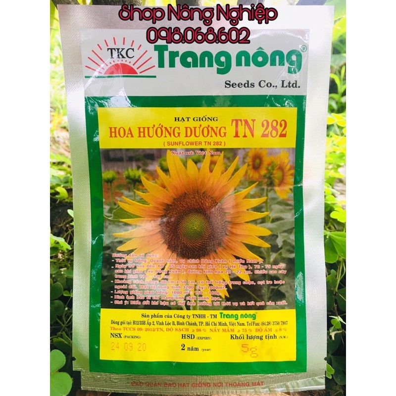 Hạt giống hoa Hướng Dương cao Trang Nông 282 5gr