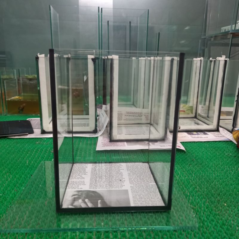 Bể betta 15x15x20