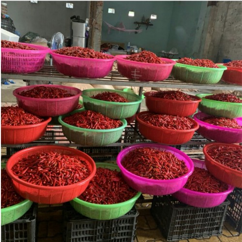 Tương ớt Mường Khương tương ớt siêu cay ,tương ớt Mường Khương chai 500ml , TOMK01