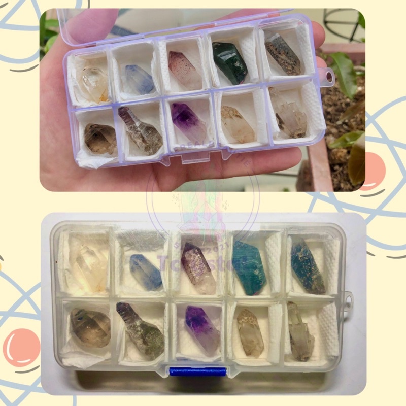 1 cái - Hộp nhựa 10 ngăn đựng tinh thể sưu tầm