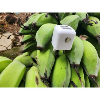 Củ Sạc ICore 1A UWC200