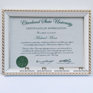 Khung Bằng Khen A3, A4 Nhiều Hoa Văn Đẹp Giá Rẻ Chất Lượng HCM - Khung Hình Phạm Gia PGBK12