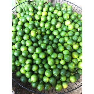 Siro ho Húng chanh & Tỏi đen