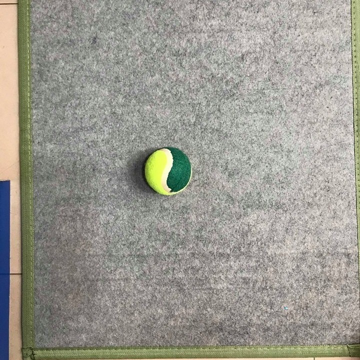 Đồ chơi cho chó - Bóng tenis