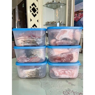 Set 6 hộp đông 650ml TUPPERWARE