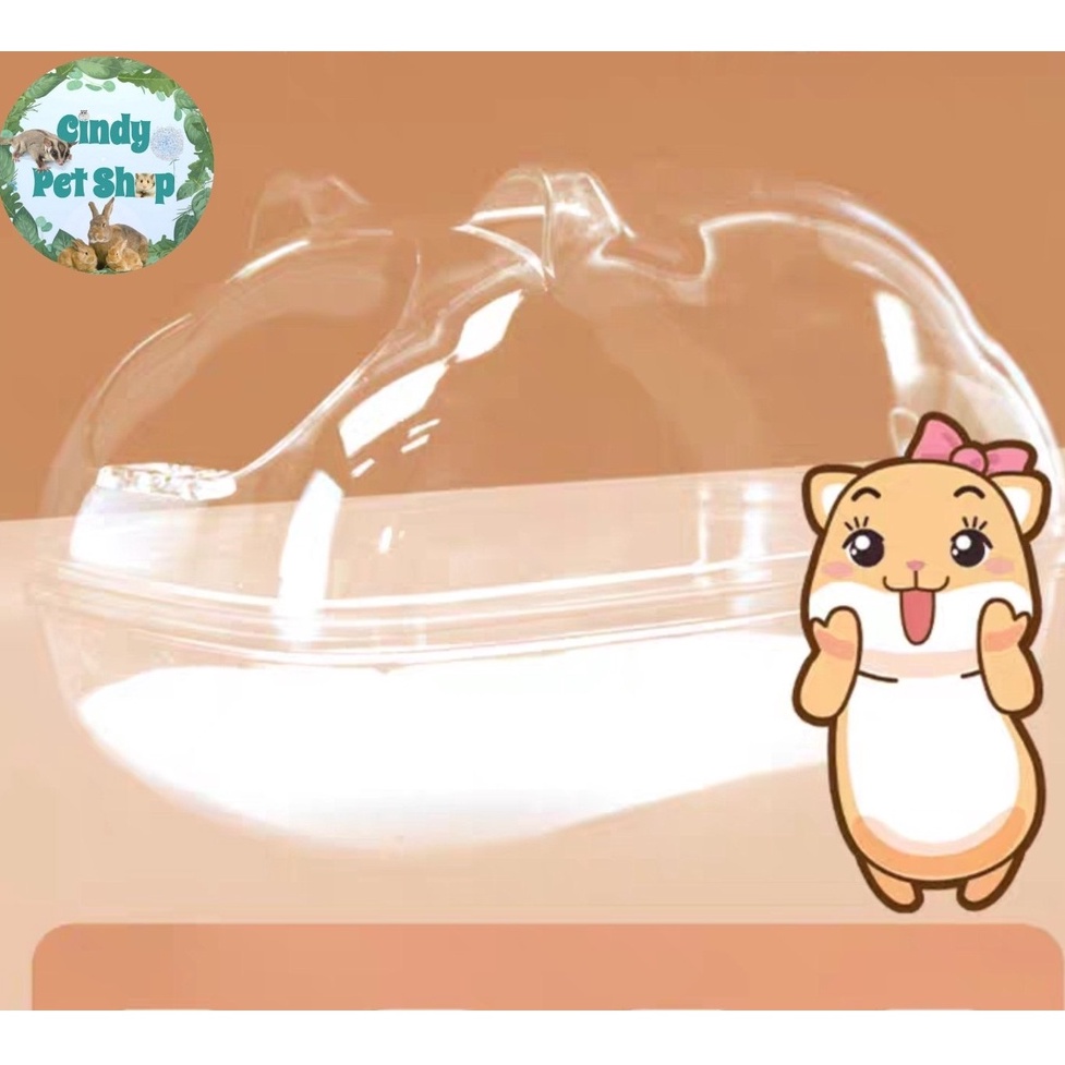 Nhà ngủ, nhà tắm trong suốt hình gấu cho Hamster