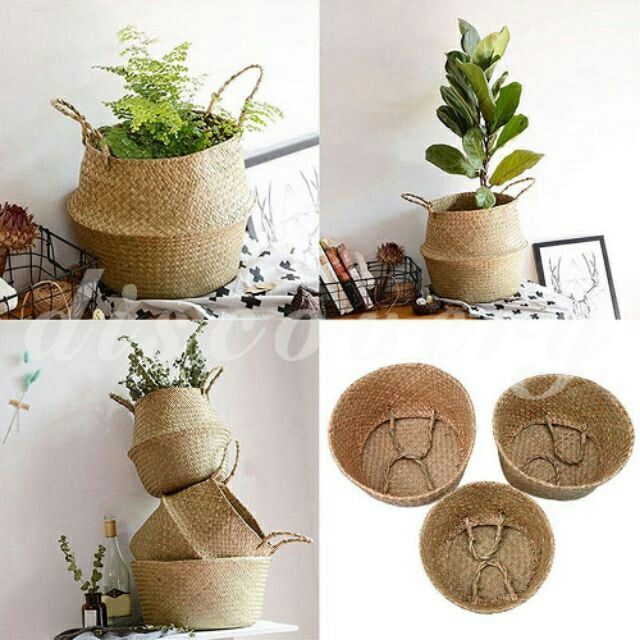Giỏ cói trồng cây/ đựng đồ