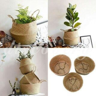 Giỏ cói trồng cây/ đựng đồ