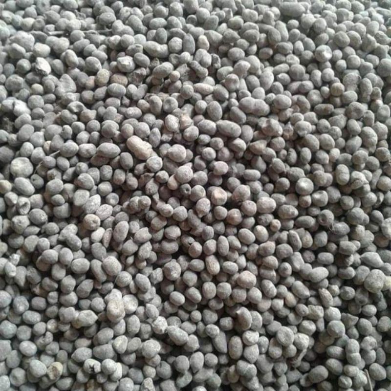 Phân dê hữu cơ vi sinh nguyên hạt đã xử lý nấm Tricho và acid humic dùng cho bón Lan, trồng rau hữu cơ (1kg)