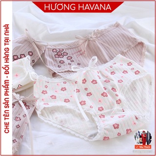 Quần lót cotton đính nơ viền ren hoa anh đào 35-65kg mã FLQ31