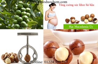 Hạt Macca Úc 