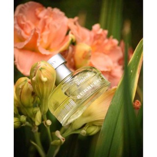 (100ml Fullbox) Nước hoa Burberry Weekend for Women EDP