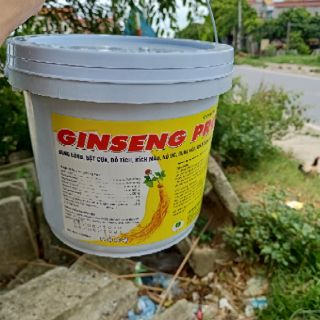 Thuốc thú y ginseng pro