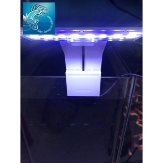 Đèn led MÀU TRẮNG kẹp thành hồ M 180 cho hồ cá cảnh- đèn led kẹp thành hồ- đèn hồ cá -đèn trang trí hồ cá cảnh nhỏ