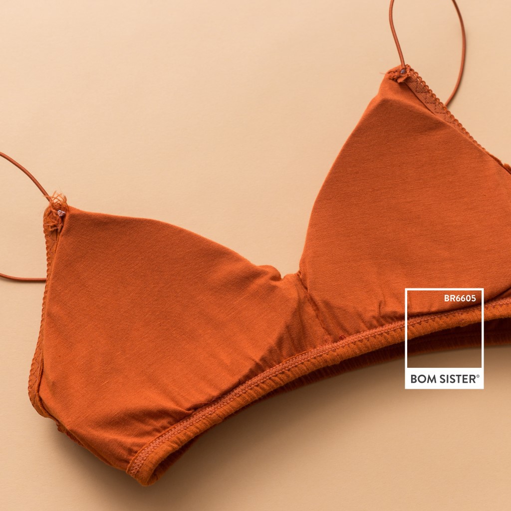 Áo Lót Nữ Mút Mỏng Dây Mảnh Không Gọng Có Kèm Mút Rời Nâng Ngực Tự Nhiên BOM SISTER BR6605 | BigBuy360 - bigbuy360.vn