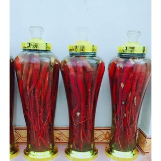 Sâm Cau đỏ [Nông Sản Tây Bắc]