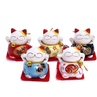 Bộ 5 mèo thần tài (Mèo may mắn) Maneki Neko có clip