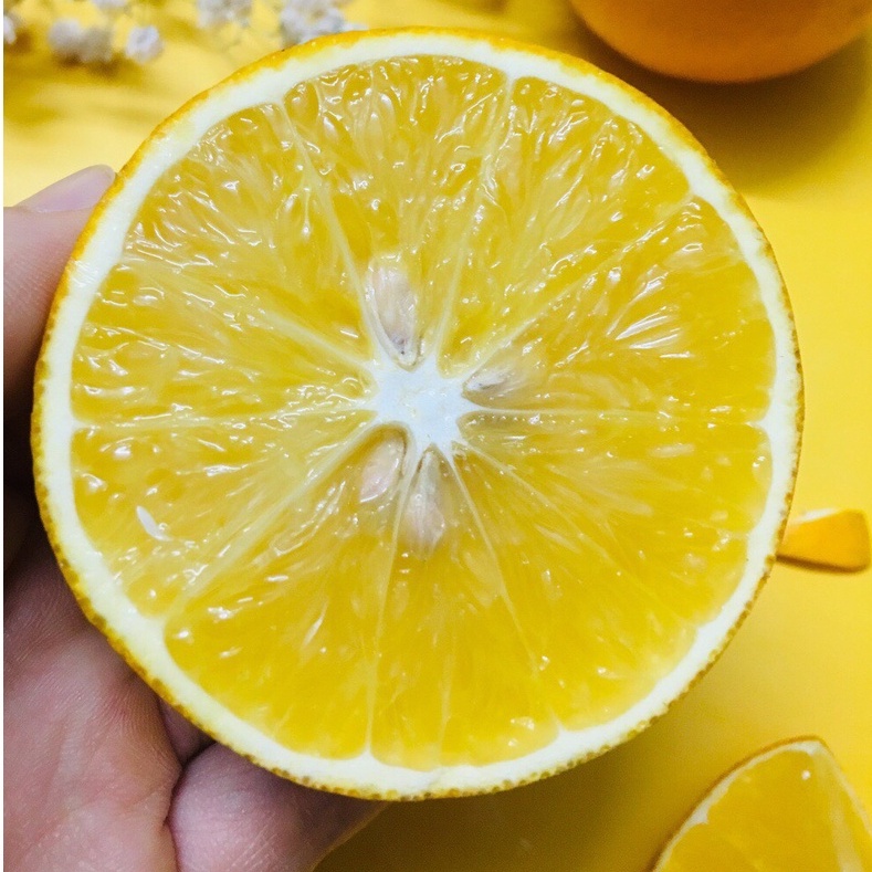 Cam Tươi EcoVi Hà Phong- Cam vỏ mỏng vị ngọt, nhiều nước, Cam loại 1 tiêu chuẩn- Thùng 5kg