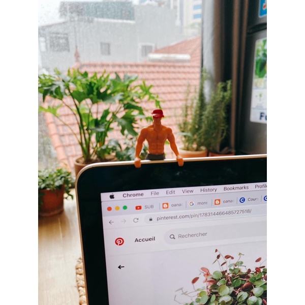 Gài cốc artwork Nhật Manga Funny Gài máy tính Gài chậu cây