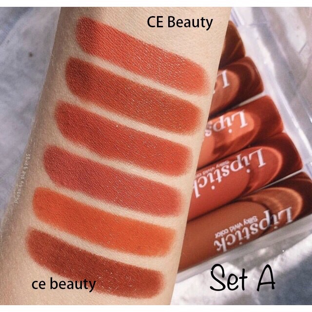 Set 6 Son Thỏi HengFang Lipstick Siiky Vivid Color Chính Hãng HengFang nội địa Trung