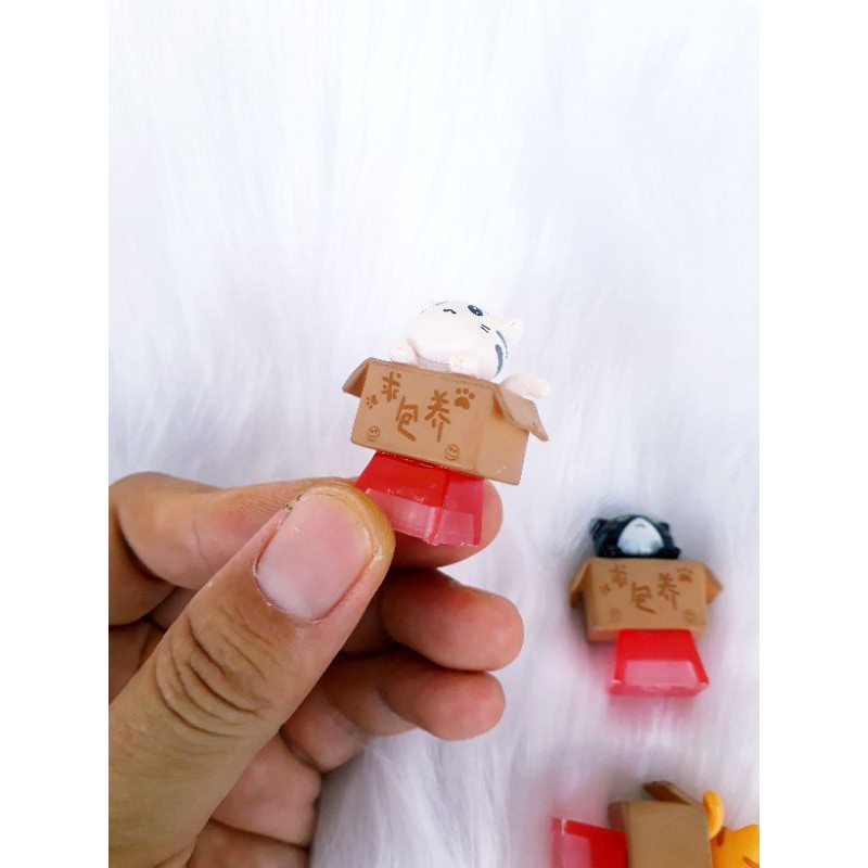 Keycap bé mèo trong hộp (baby cat in box), trang trí bàn phím. | BigBuy360 - bigbuy360.vn