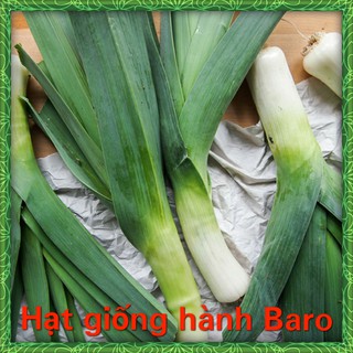 Hạt Giống Hành Baro/ Tỏi Tây