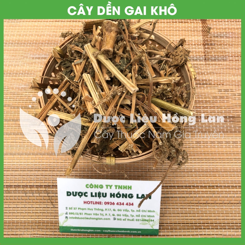 CÂY DỀN GAI khô sạch đóng gói 1kg - congtyduoclieuhonglan