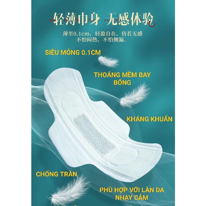 COMBO 5 GÓI BĂNG VỆ SINH THẢO DƯỢC NGẢI CỨU NANO BẠC KHÁNG KHUẨN 1MM AISHUBAO 245MM GÓI 10M NỘI ĐỊA TRUNG