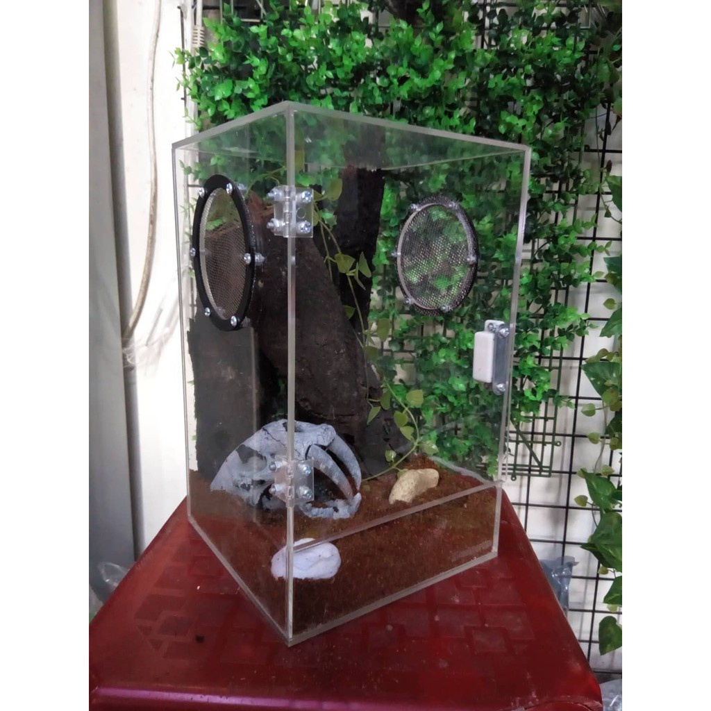 Hộp Nuôi Nhện Cao Cấp 15-15-25 (tank tarantula)