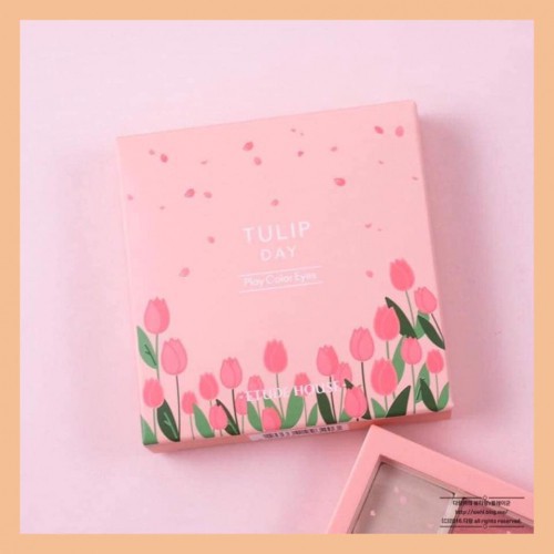 BẢNG PHẤN MẮT 9 MÀU PLAY COLOR EYES TULIP DAY NHẬP KHẨU CHÍNH HÃNG - 4730