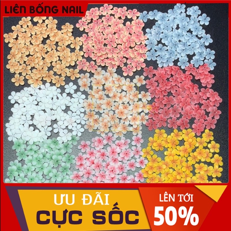 HOA BỘT NAIL mã 002