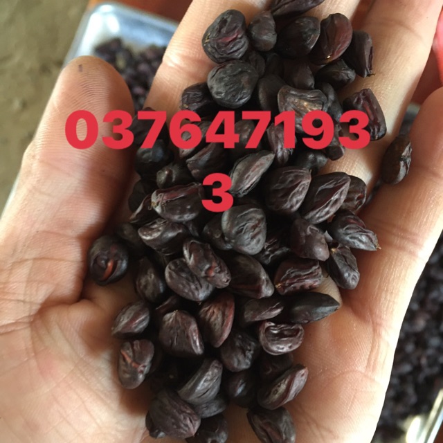 100gr HẠT DỔI ĐẶC BIỆT