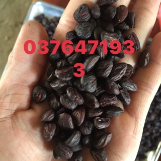 100gr HẠT DỔI ĐẶC BIỆT