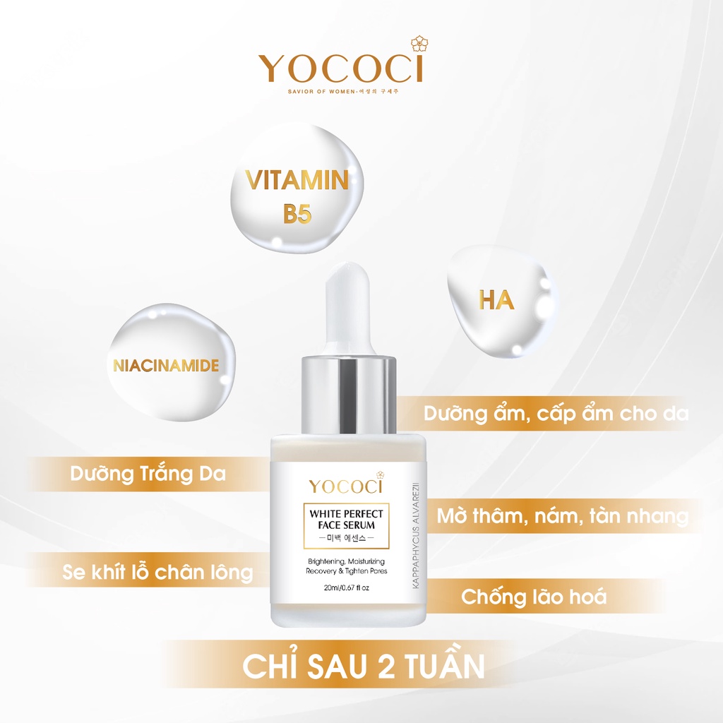 Serum Dưỡng Trắng, Dưỡng Ẩm Phục Hồi Da Mặt YOCOCI White Perfect Face Serum 20ml