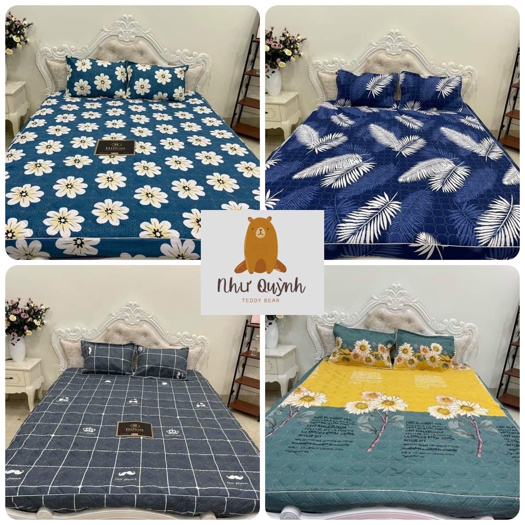(Set 5 món) Bộ Chăn Ga Gối Trần Bông Ga Chun Ga Trải Giường Nhiều Kích Thước M6 M8 2M2 | BigBuy360 - bigbuy360.vn