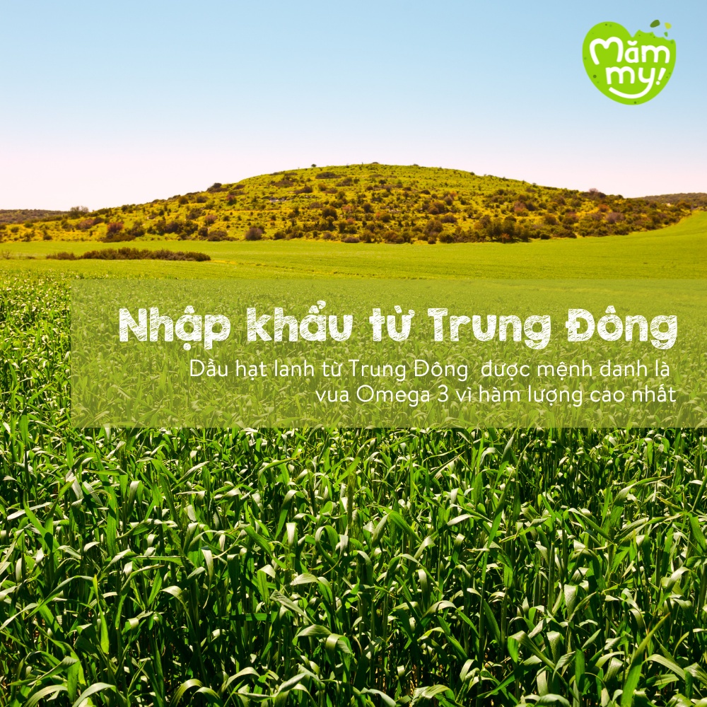 Dầu ăn dặm hạt lanh và cá hồi tốt cho não bộ của bé MĂMMY giàu Omega 3 cho bé từ 6 tháng tuổi