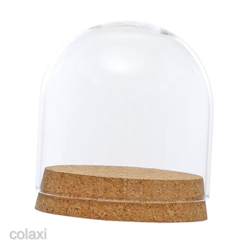 [COLAXI] Clear Glass Display Dome Cover Cloche Bell Jar Succulent Terrariums w/ Cork