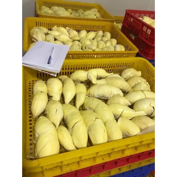 1kg SẦU RIÊNG MÚI CẤP ĐÔNG LÀM CHÈ,BÁNH THƠM NGON.Ship hoả tốc Hà Nội.