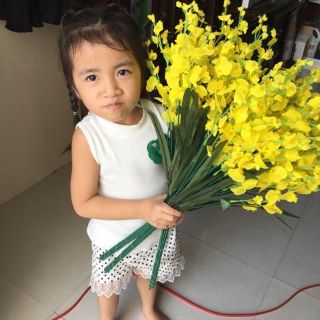 Hoa lan vũ nữ giả hoa lụa bó 10 cành