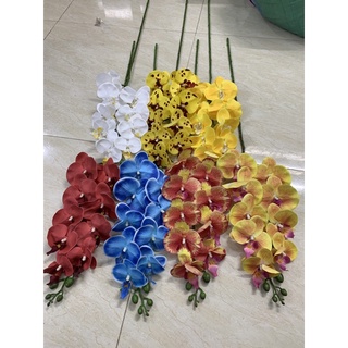 Hoa lan Hồ điệp cao su 9 bông Thân Đốm Cánh ướt loại 1
