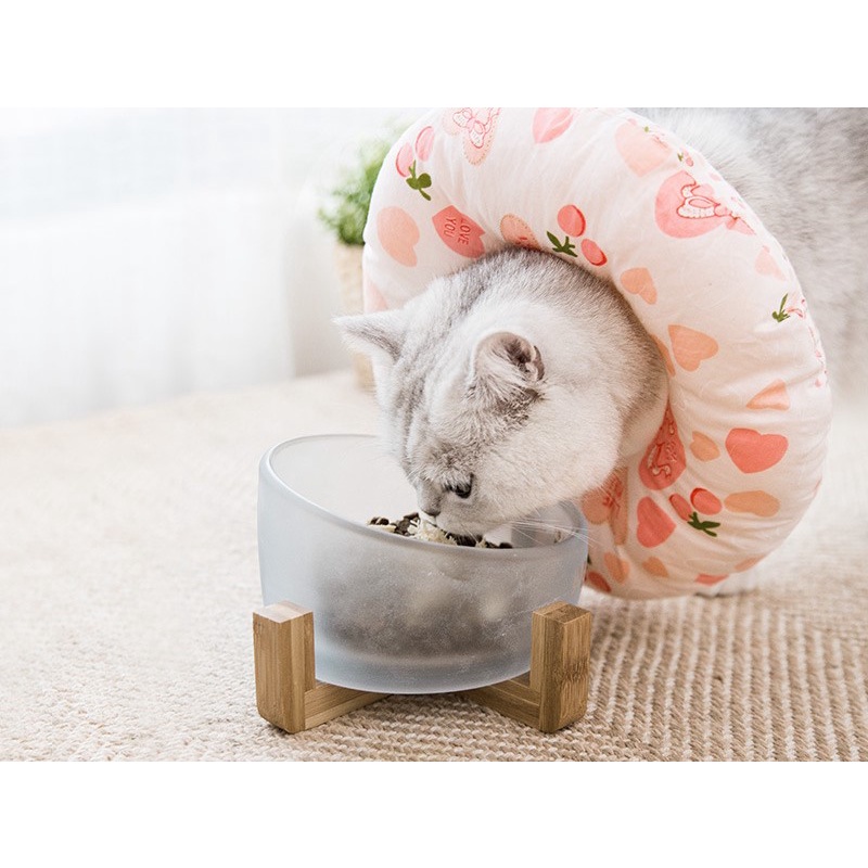 gối chụp cổ khi chó mèo khi bệnh hoặc cần thoa thuốc